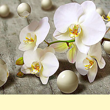 Оригинал схемы вышивки «Серия "Цветы". Орхидеи» (№2459897)