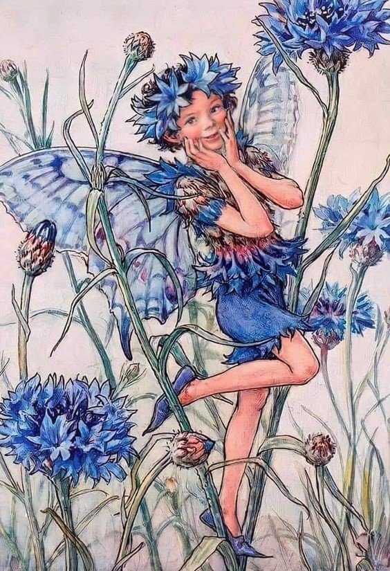 Фея василек - сказочный мир - оригинал