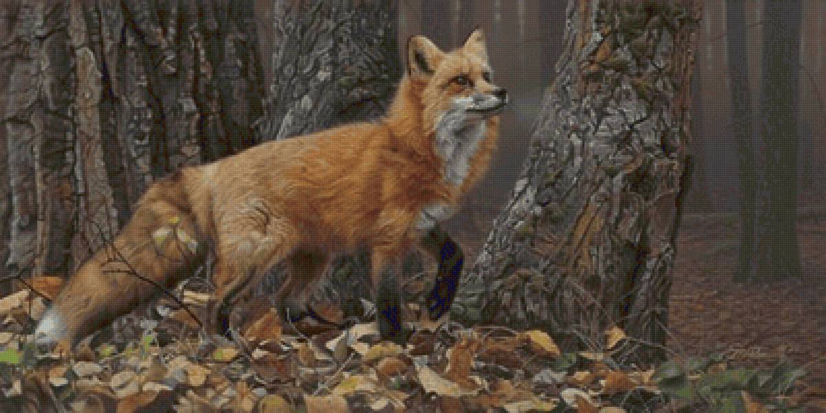 №2460082 - предпросмотр