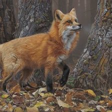 Схема вышивки «№2460082»