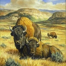 Схема вышивки «Бизоны»