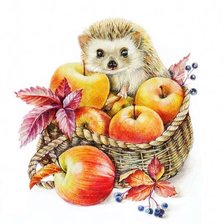 Схема вышивки «Ёжик»