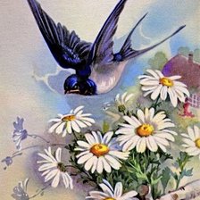 Схема вышивки «Ласточка»