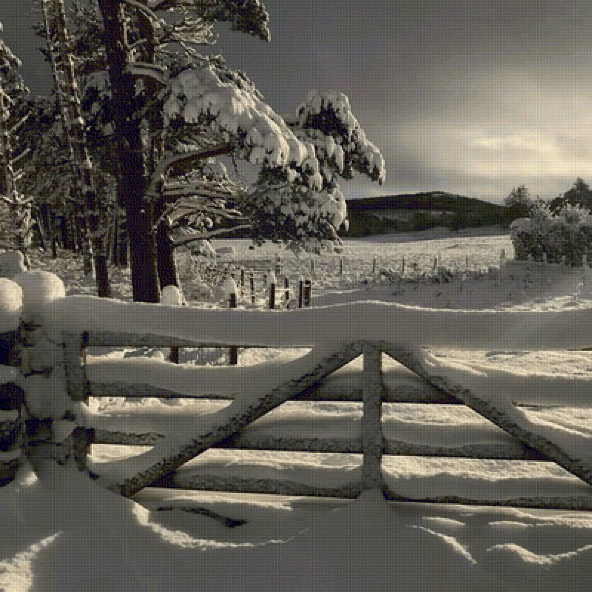 №2461204 - предпросмотр