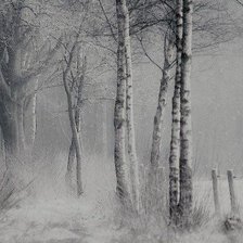 Оригинал схемы вышивки «№2461206»