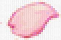 petalo cerezo - предпросмотр