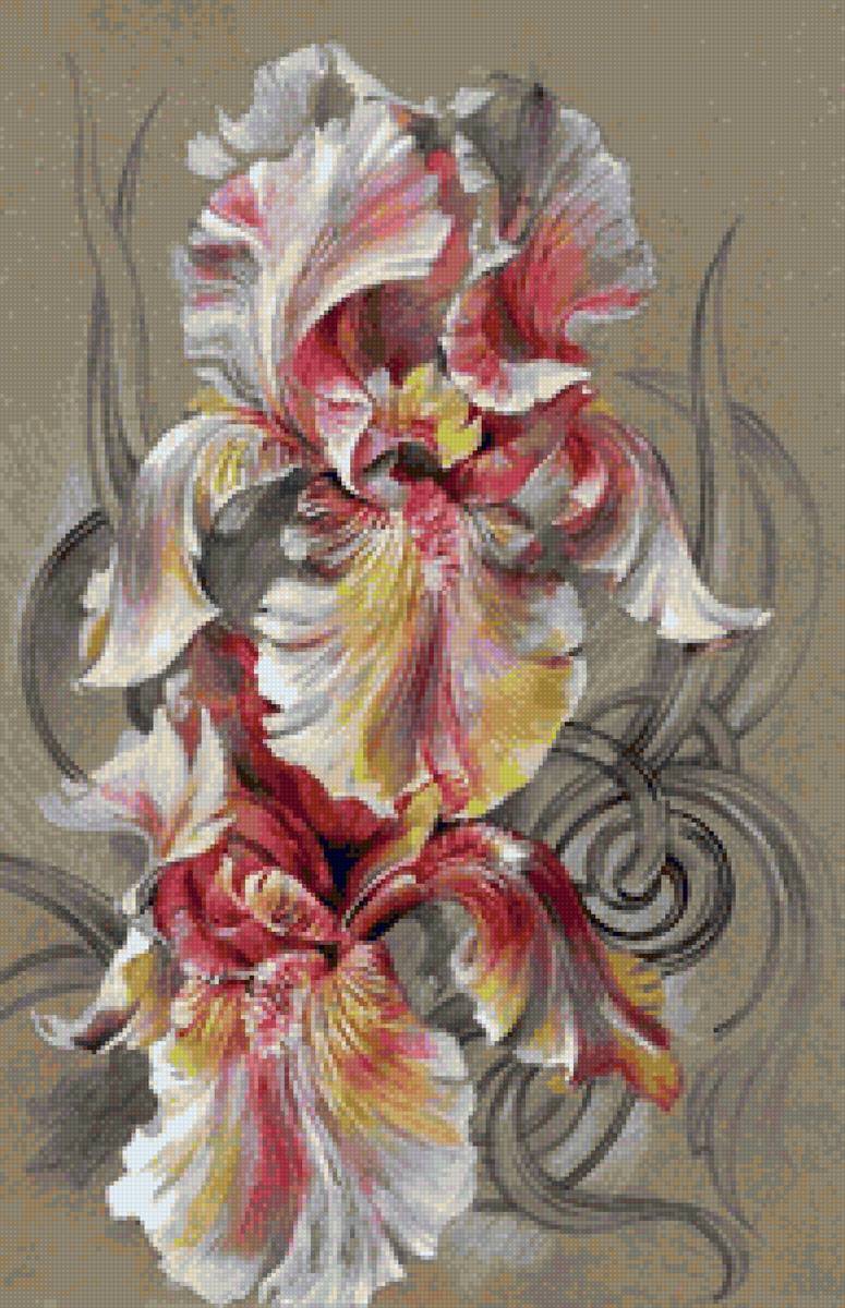 ирис - цветы, натюрморт - предпросмотр