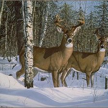 Оригинал схемы вышивки «№2462112»