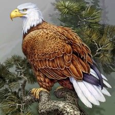 Схема вышивки «Орел»