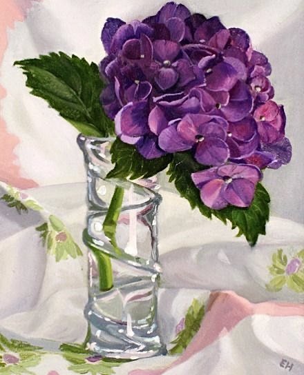 Ветка гортензии - растения, цветы - оригинал