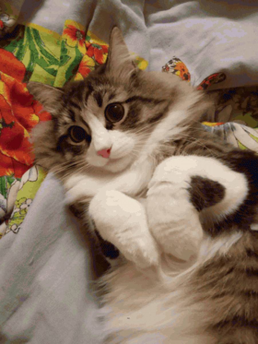 Морис - кот - предпросмотр