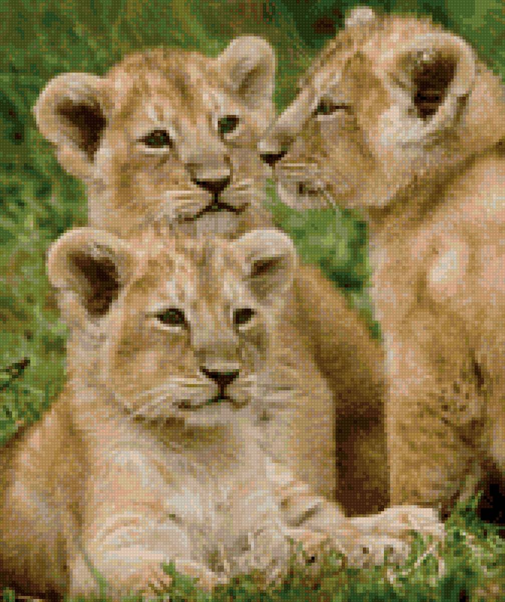 Львята - предпросмотр