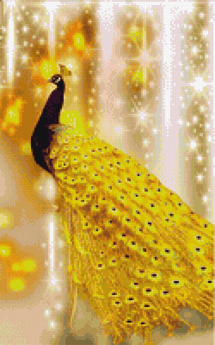 Золотой павлин - павлин. птицы - предпросмотр