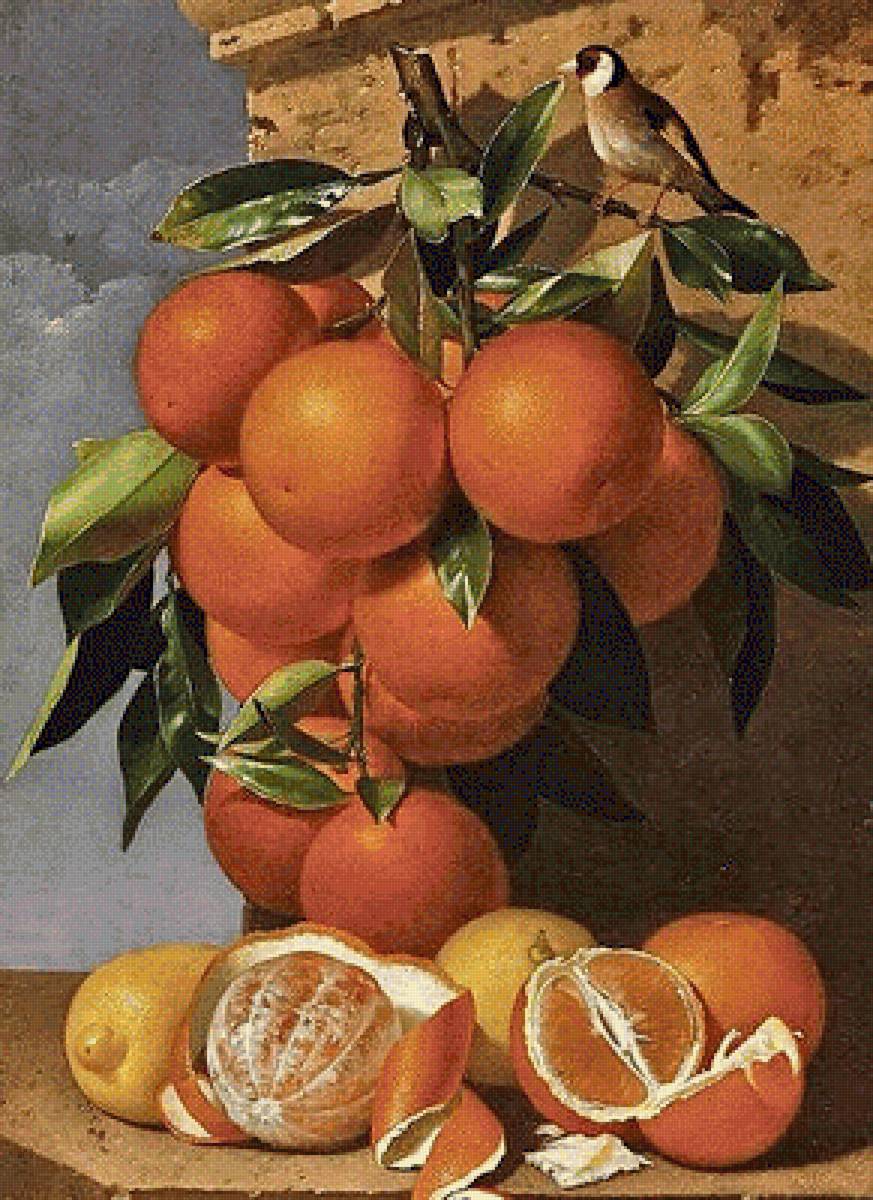 Апельсины - фрукты - предпросмотр