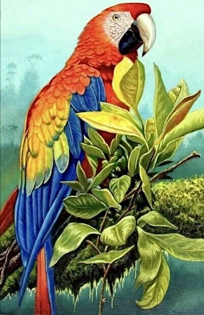 Попугай на ветке - природа, птица - оригинал