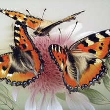 Оригинал схемы вышивки «бабочки» (№2464382)