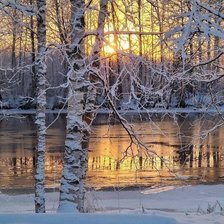 Оригинал схемы вышивки «№2464411»