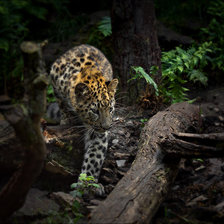 Схема вышивки «охотник»