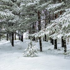 Схема вышивки «№2464788»