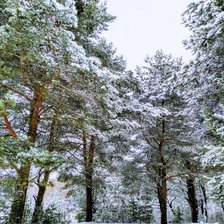 Схема вышивки «№2464792»