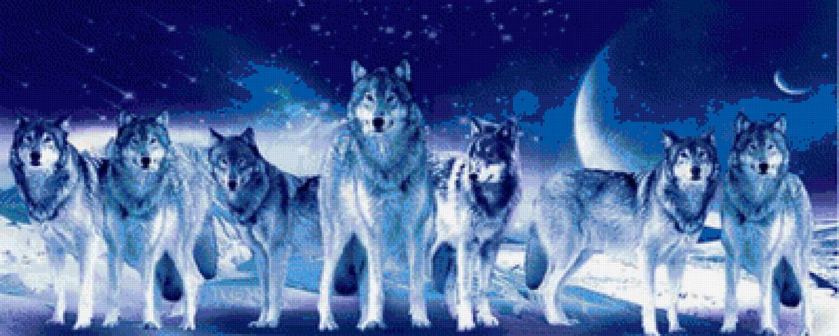 Звёздное небо. Волки - волки, стая - предпросмотр