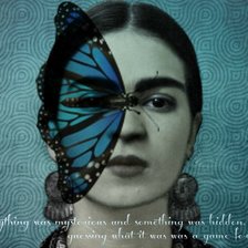 Схема вышивки «frida i papallona»