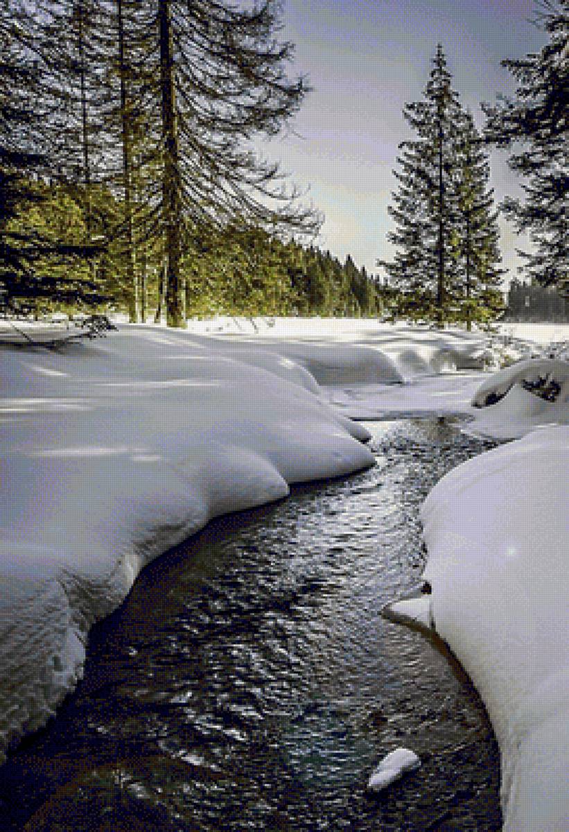 №2465012 - предпросмотр