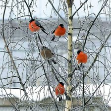 Оригинал схемы вышивки «№2465013»