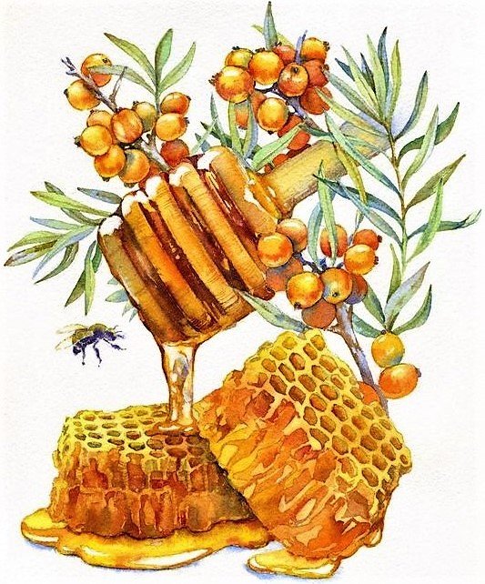 Мед - декор - оригинал