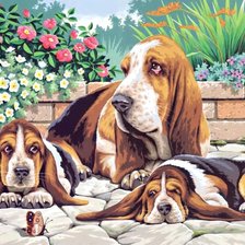 Схема вышивки «3 спаниеля»