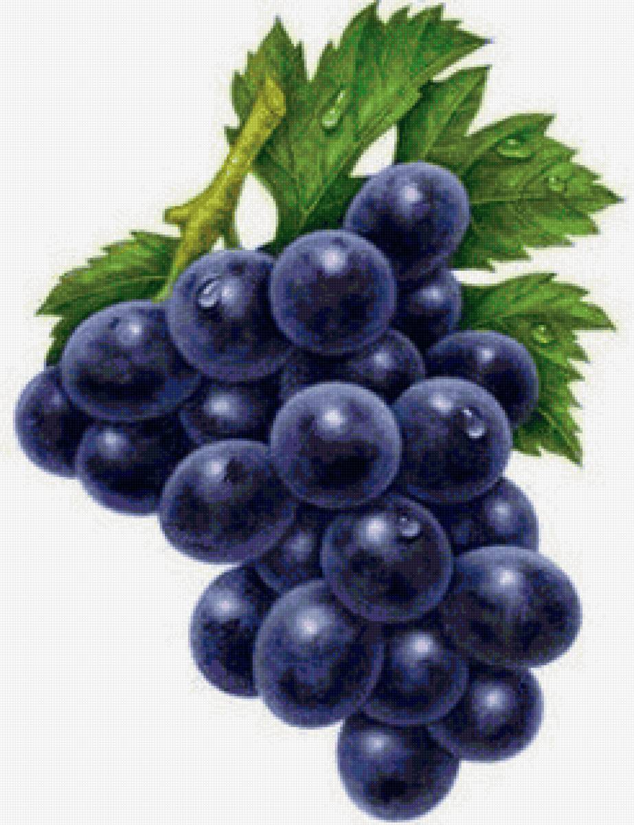 Кисть черного винограда - фрукты - предпросмотр
