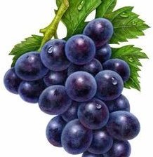Кисть черного винограда