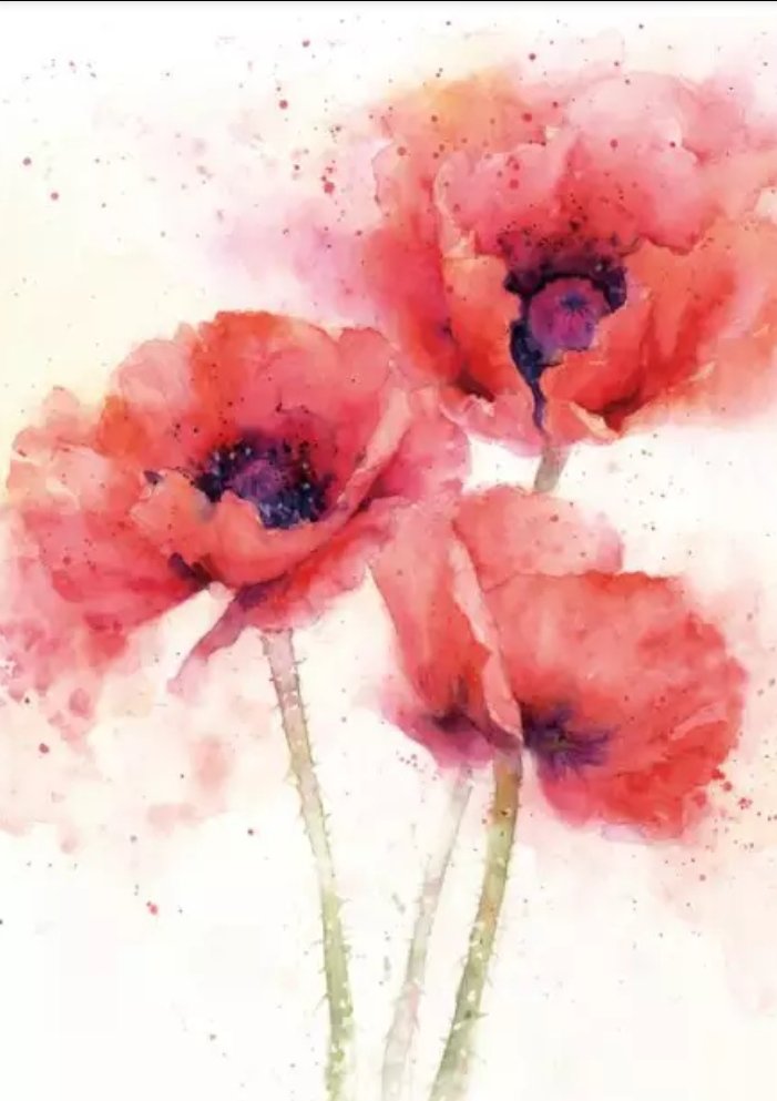 Акварельные маки - акварель, мак, цветы - оригинал