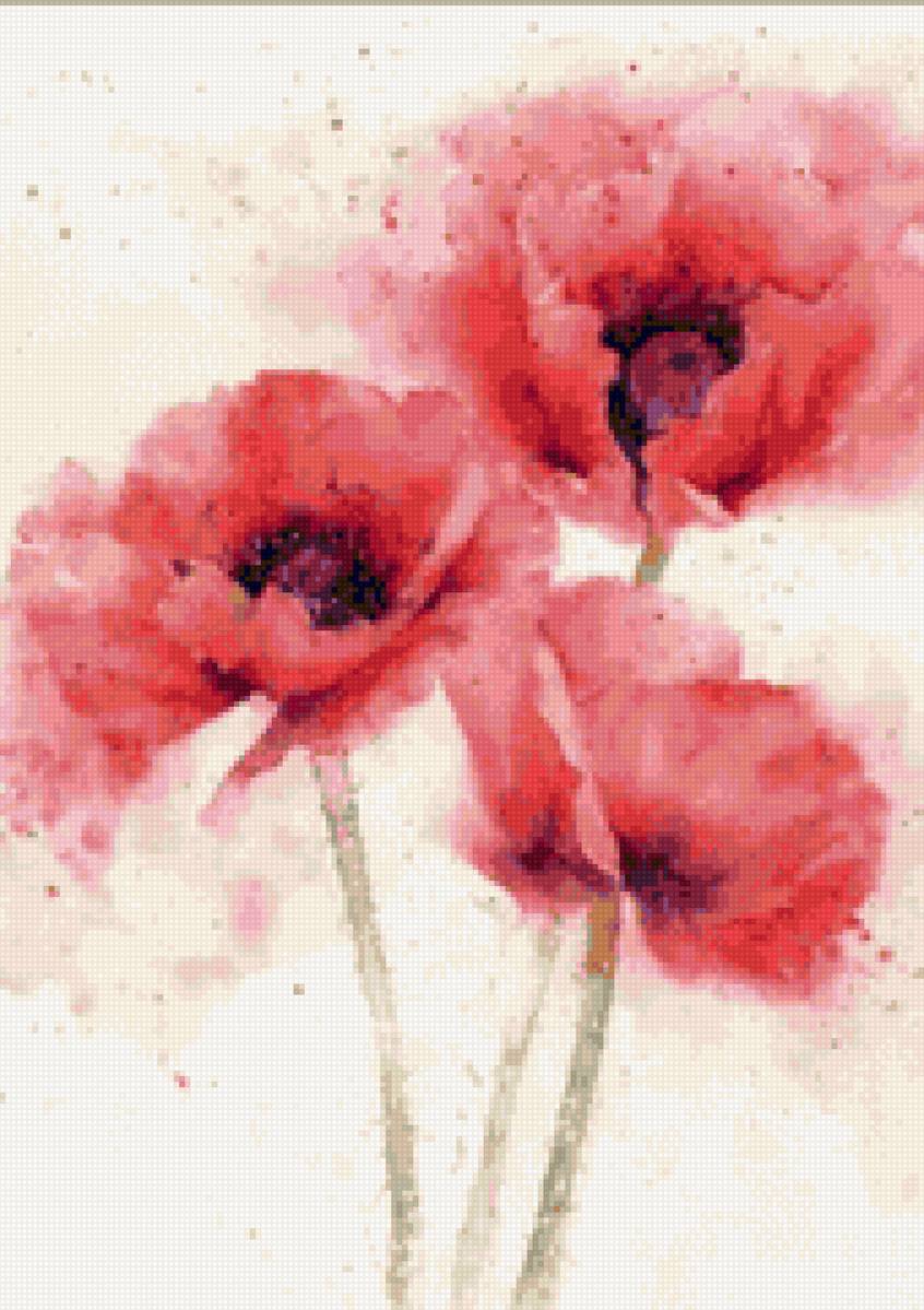 Акварельные маки - мак, акварель, цветы - предпросмотр
