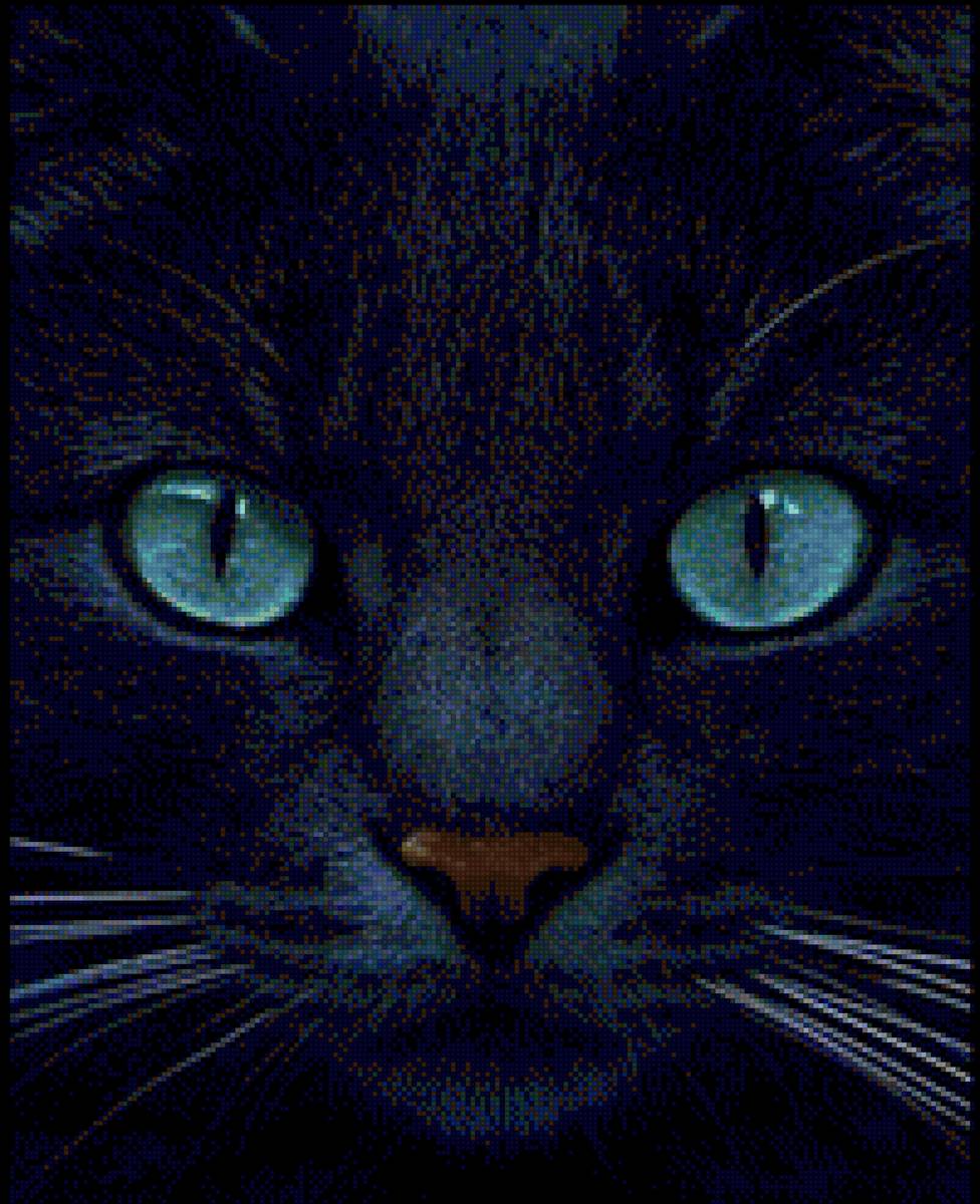 Черный Мурррр - животные, кот - предпросмотр