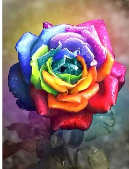 Арт - яркая, цветы, арт, роза - оригинал