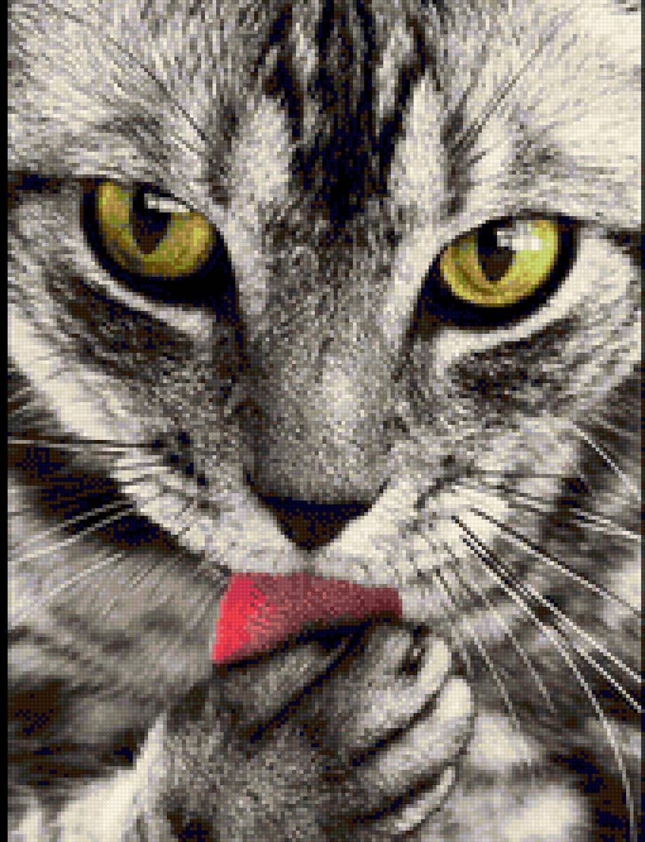 Котейка - кот, котики, милый, животные - предпросмотр