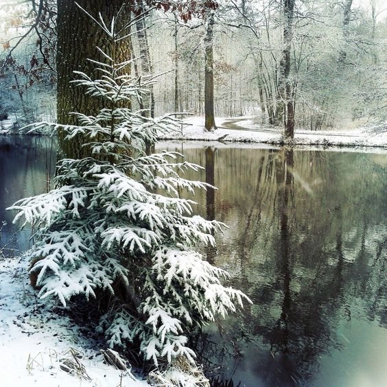 №2466259 - оригинал