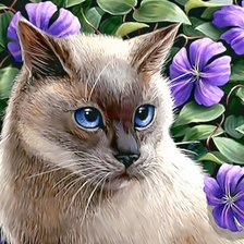 Схема вышивки «Кот»