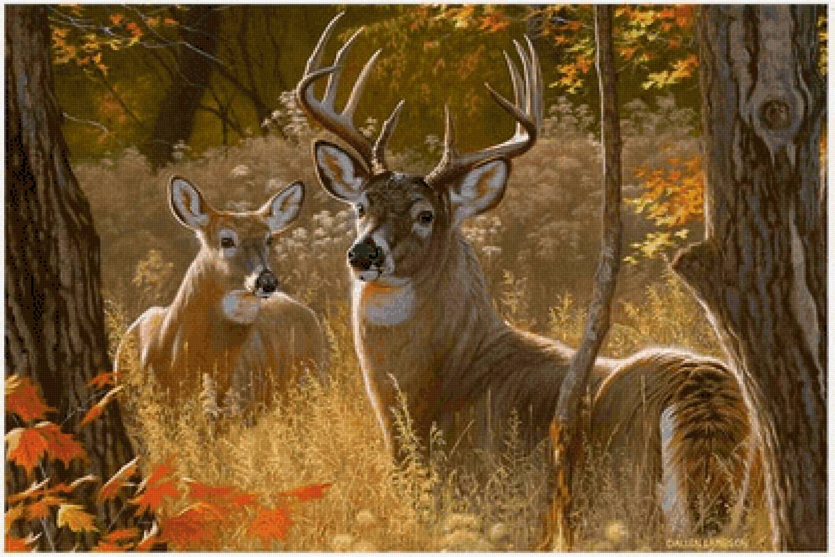 №2466732 - предпросмотр