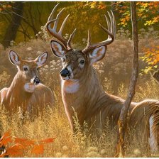 Оригинал схемы вышивки «№2466732»