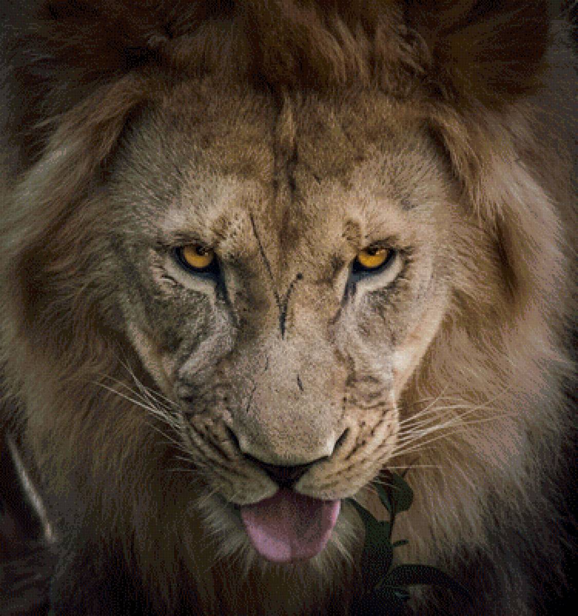 Лев - предпросмотр