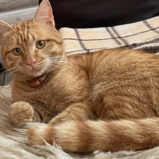 Схема вышивки «Лучик 2»