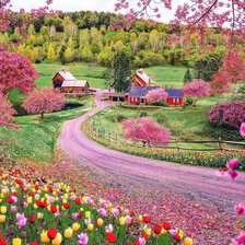 Схема вышивки «Camino rosado»