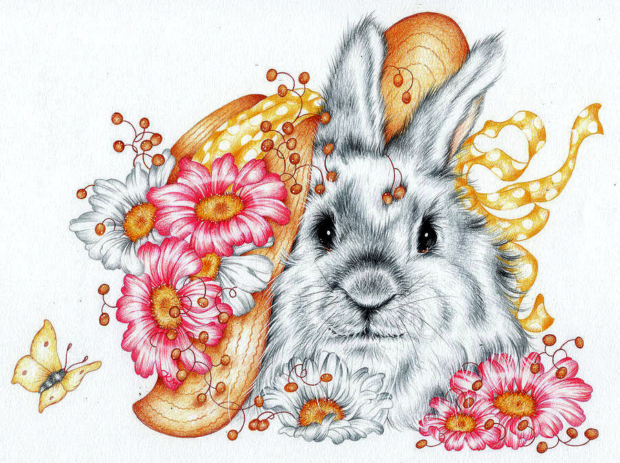 заяц - рисунок - оригинал