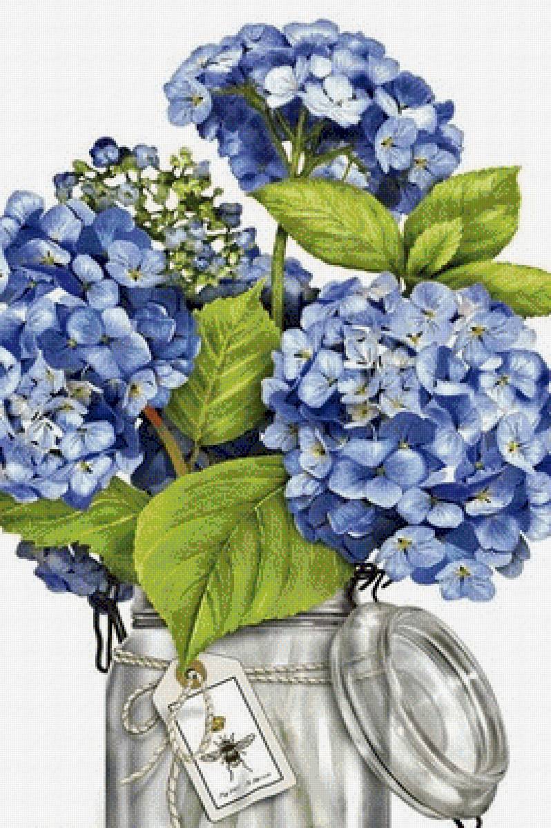 Голубая гортензия - букет, растения, цветы - предпросмотр