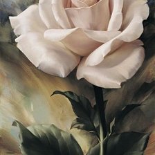 Схема вышивки «Белая роза»