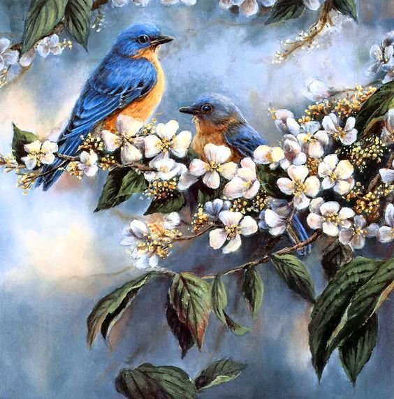 Синие птички - птицы - оригинал