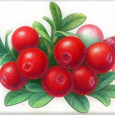 Схема вышивки «Брусника»