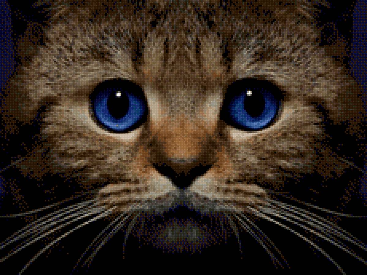 Котейка :) - милый, кот, животные, котики - предпросмотр